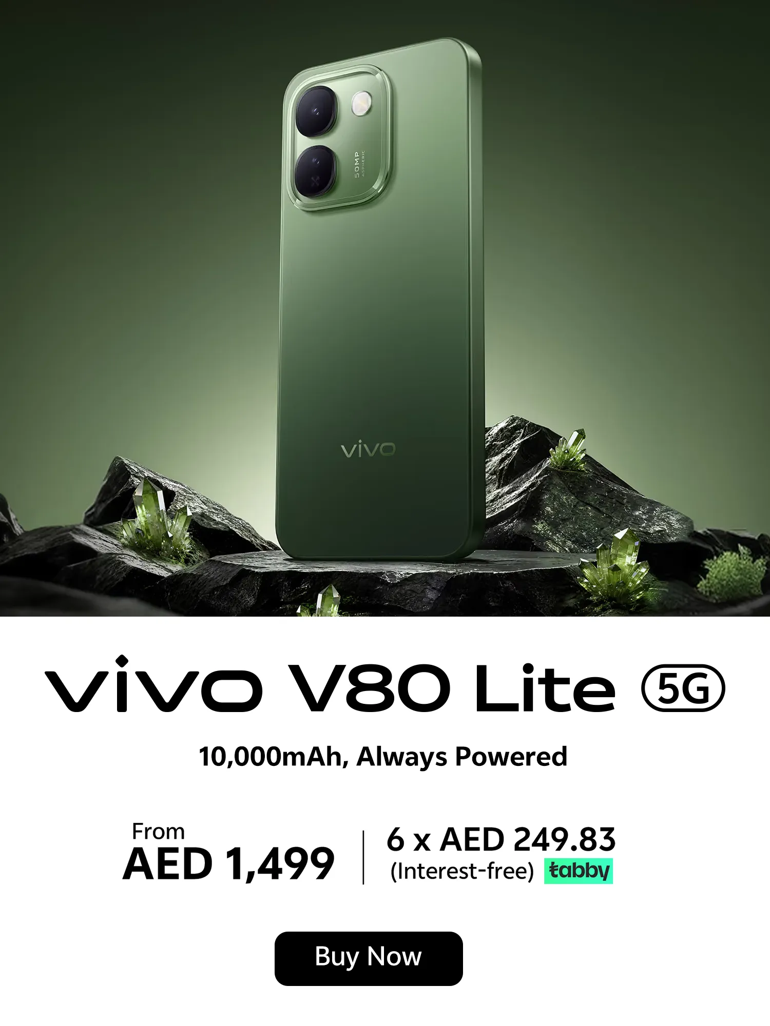 vivo V80 Lite