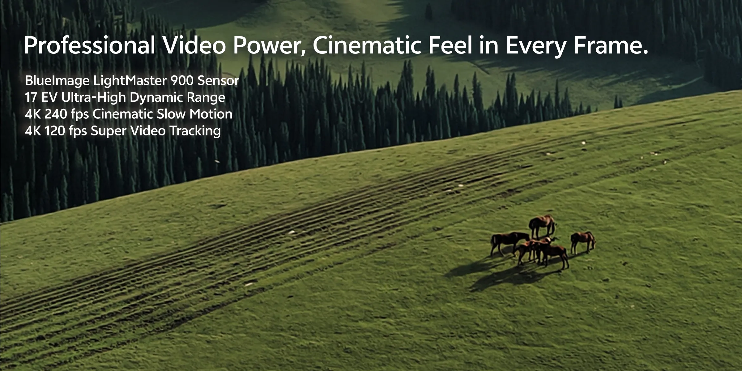 Cinematic grassland horse video on vivo X500 Pro Max, LightMaster 900 sensor, 4K 240fps slow motion